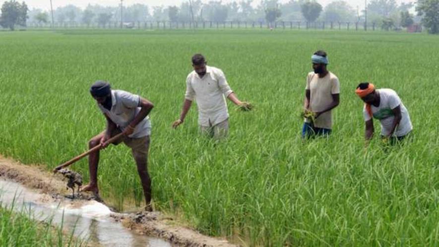 ‘Not Just Farmers, 3 Farm Laws Affect Small Agri Traders Too’