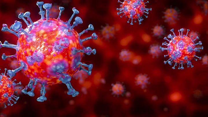 India has 19 Variants of Novel Coronavirus, N440K More Prevalent
