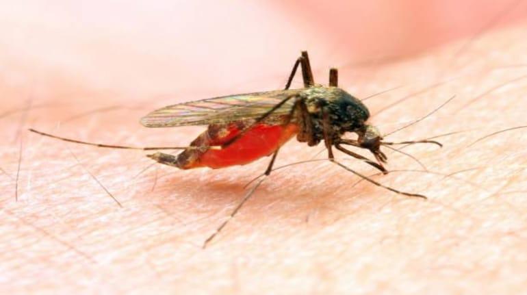 India Recorded Largest Reduction in Malaria Cases in South-East Asia in 2000-2019: WHO