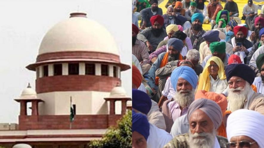 Farmer Protests: Consider Holding Back 3 Agri Laws to Enable Talks, SC Urges Centre