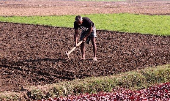 Agricultural Workers in India