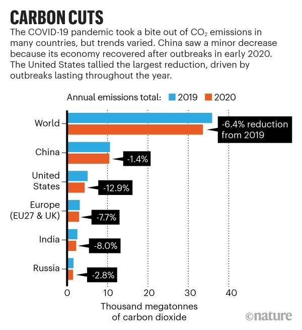 Carbon Chart