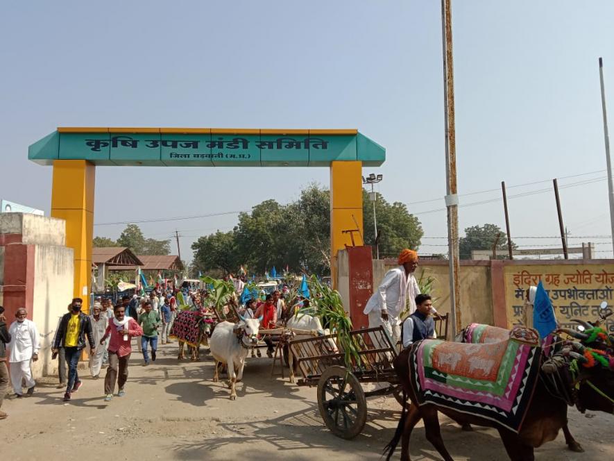 Farmers Under the Banner of Narmada Bachao Andolan Carry Out Rally in Barwani