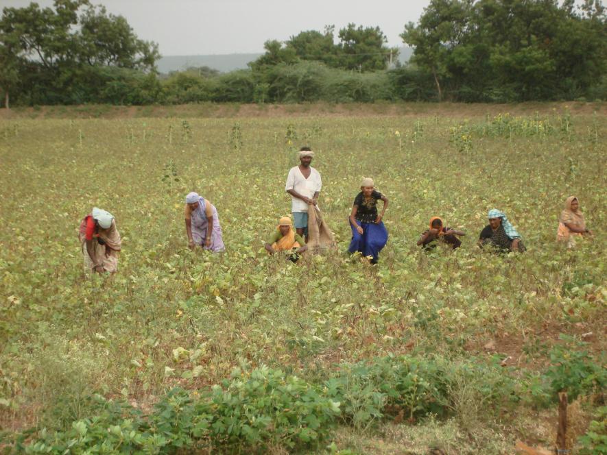 Indian Farmers go landless
