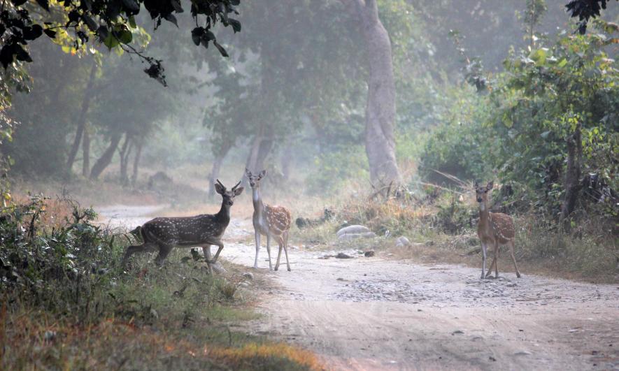 Uttarakhand Wildlife Reserves