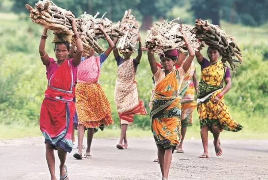 chattisgarh tribal women.