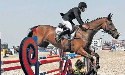 equestrian federation of india and the national sports code