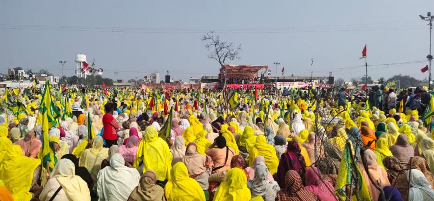 Punjab Farmers