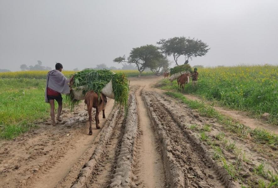 Horses have become the everyday transport on muddy roads in Khagaria