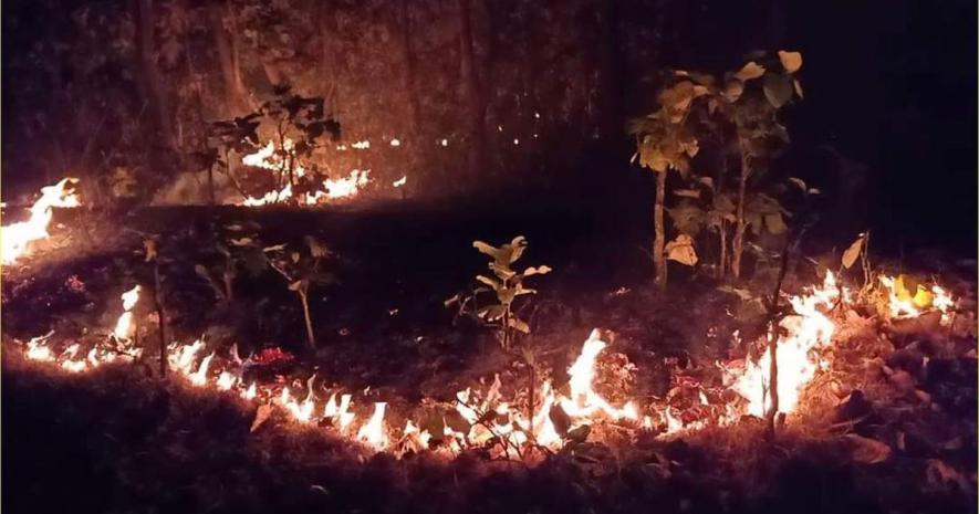 Odisha: Similipal Fires Continue While Govt Claims Situation Under Control