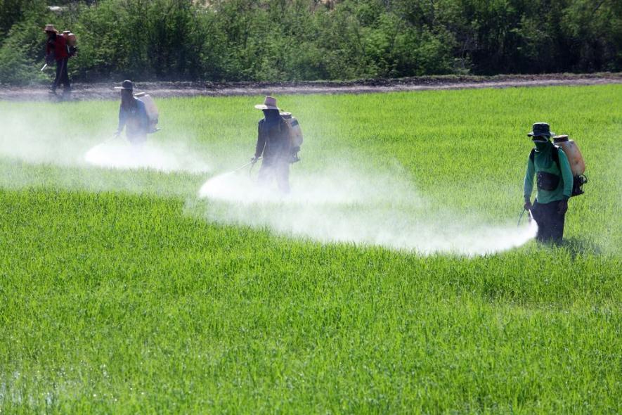 Study Says 64% of World’s Farmland at Risk of Pesticide Pollution