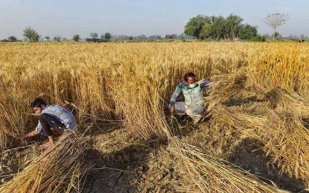 Farm Laws: How Punjab is Organising to Keep Protests Alive During Harvesting Season