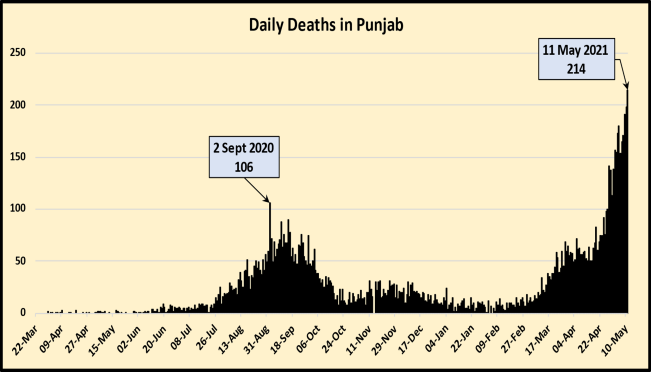 death covid punjab.