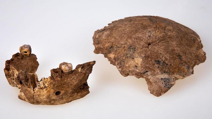 New Fossil Skull in Israel Stirs Up Debate: Earliest Neanderthal or Unknown Neanderthal Ancestor?