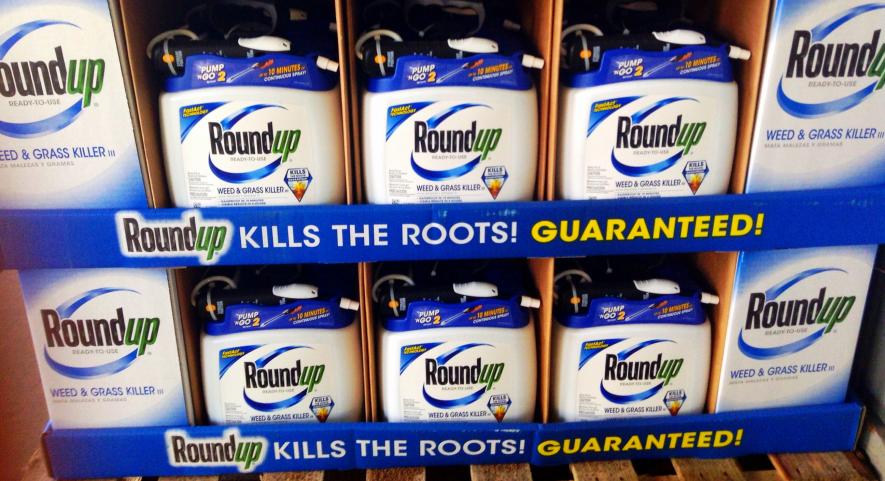 Glyphosate’s Toxic Legacy Exposed: Why This Weedkiller Should Be Banned