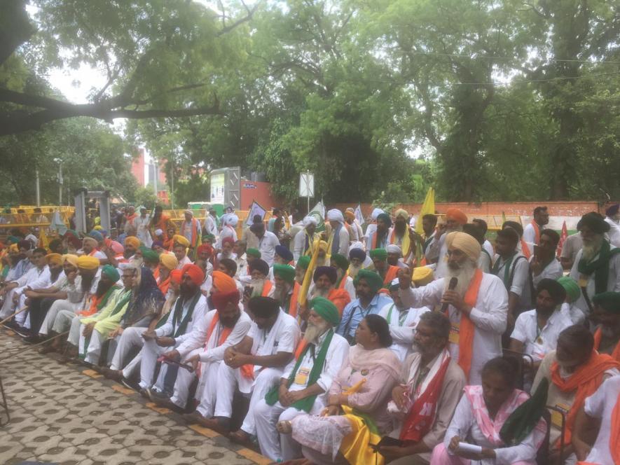'Kisan Sansad' on Thursday saw a participation of about 200 protesters. Image clicked by Ronak Chhabra