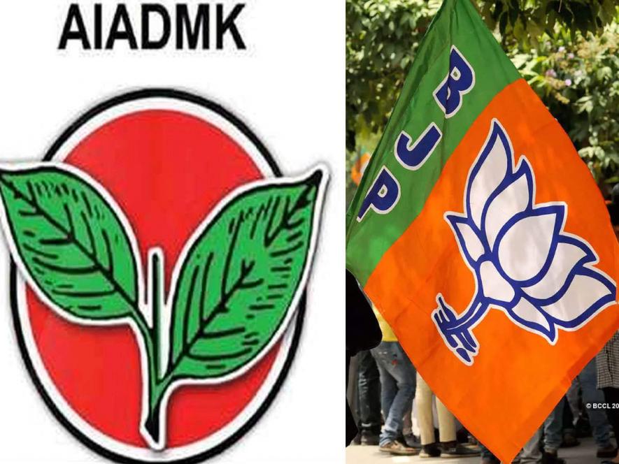 Is the AIADMK On Course for a Surrender to the BJP in Tamil Nadu?