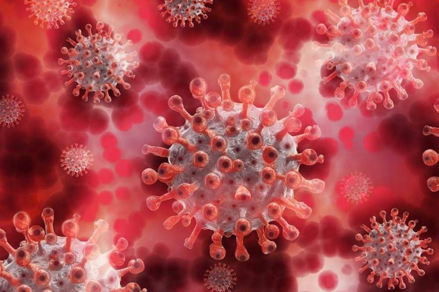 Explained: What are the Variants of the Coronavirus