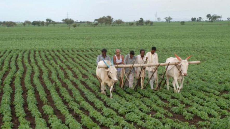AIKS Says Maharashtra Govt's Farm Bills Similar to Central Laws with 'Minor Changes'