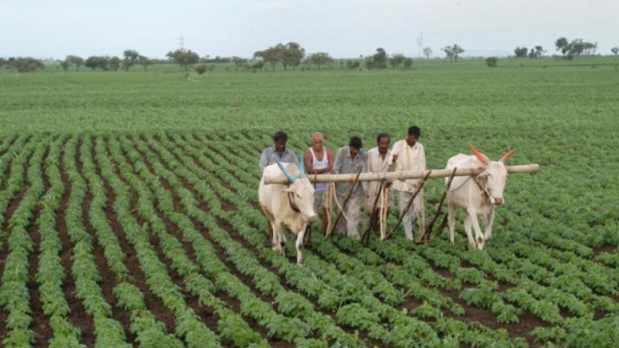 AIKS Says Maharashtra Govt's Farm Bills Similar to Central Laws with 'Minor Changes' 