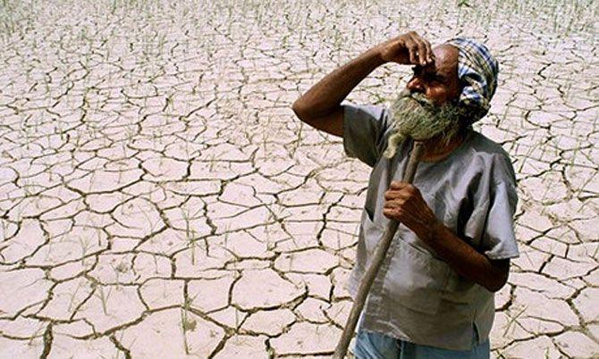 North Maharashtra Awaits Rain, Farmers Worried about Possible Drought
