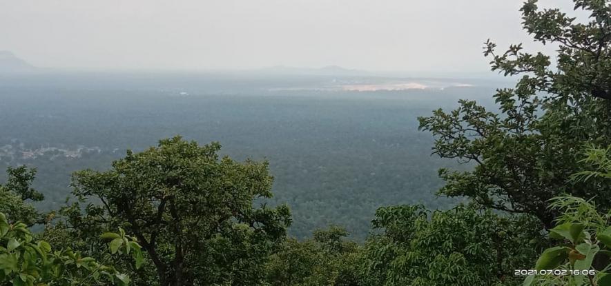 Forests of northern Chhattisgarh have been home to elephants for ages. However, increasing mining activities and other developmental projects have forced them to enter the human habitat.