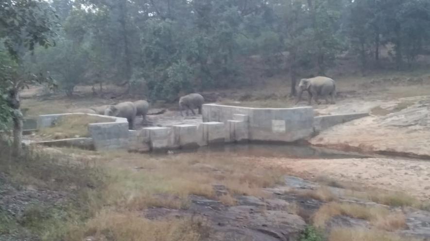 Human-elephant conflict has caused distress on both sides and has been profitable only for the corporates, say activists and locals.