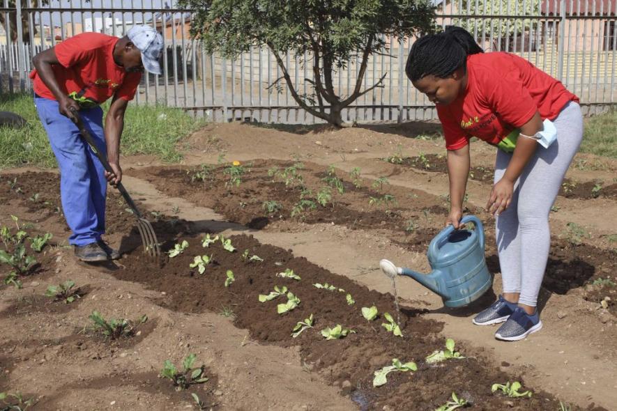 15 May 2021: From left, community farmers and Sibanye Eco-Gang activists Luthando Magavu and Nombulelo Sineke in the communal vegetable garden they helped create on unused land at a primary school in KwaZakhele. (Photograph by Bonile Bam)
