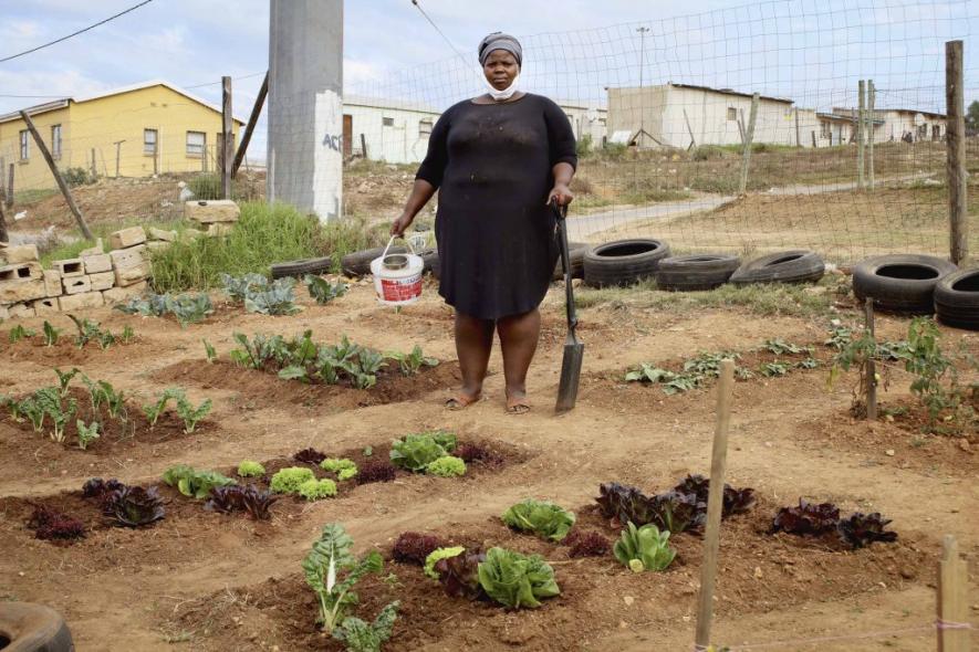 16 June 2021: Amandla Collective community farmer Vuyokazi Made in her personal backyard vegetable garden. (Photograph by Bonile Bam)