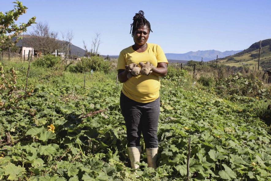 17 April 2021: Akhona Kobese, 30, with potatoes harvested from the communal permaculture garden on land provided by Elundini Backpackers. (Photograph by Bonile Bam)