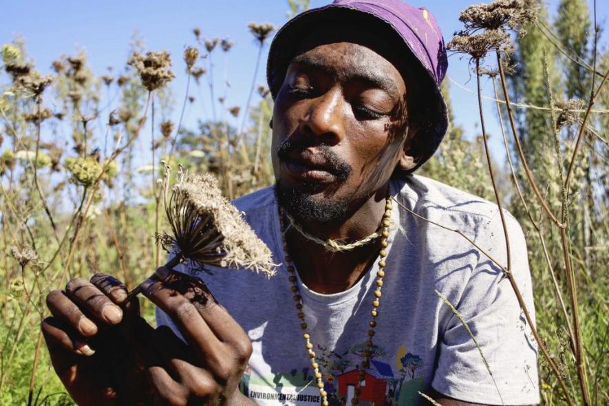 17 April 2021: Permaculture activist Ntsika Mateta from Ngqwele village near Qonce in the Eastern Cape holds a carrot plant he is using for seed production to support rural residents in establishing communal and household vegetable gardens. (Photograph by Bonile Bam)