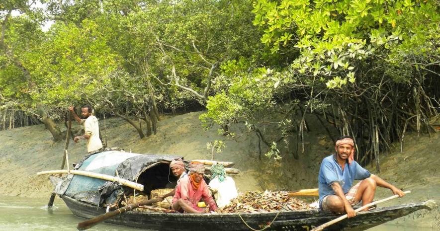 Residents of Sundarbans Demand Help from the State Government