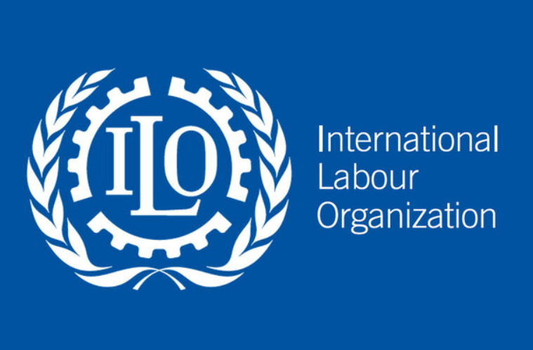 Only Half of World's Workers Hold Jobs Corresponding to Their Education: ILO Report