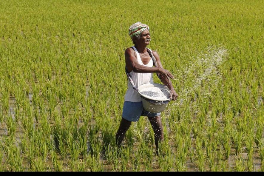 Bihar Farmers hit by Fertiliser Shortage and Soaring Black Mark