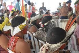 Indigenous people of Brazil