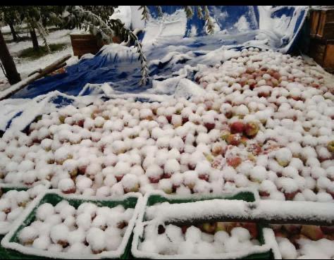 Kashmir snowfall