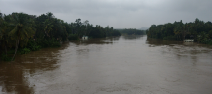 Heavy Rains Lash South Tamil Nadu