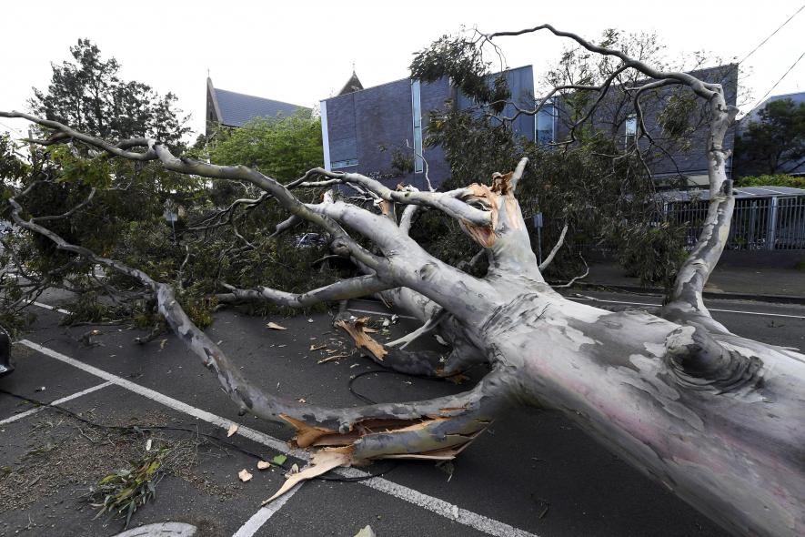 Australia: Wild Winds Leave Lakhs of Homes Without Power in Melbourne, Victoria