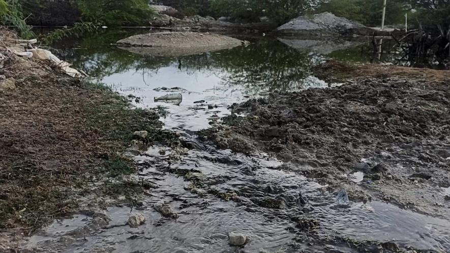 Water discharge from shrimp farms has become the primary source of pollution in villages around Rameswaram.