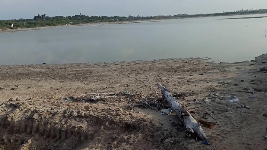 Wastewater discharge from shrimp farms and encroachments have polluted the pond in Mangadu village. 