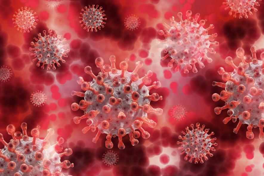 Super Immunity Against Coronavirus Wanes With Time, Suggests New Research