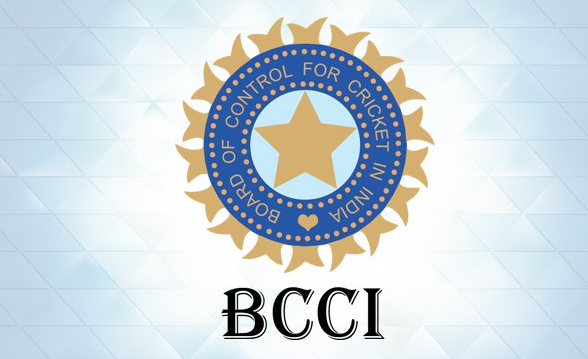 The Board of Control for Cricket in India BCCI Flag Seamless Looping  Background Looped Bump Texture Cloth Waving Slow Motion 3D Rendering  21183984 Stock Video at Vecteezy