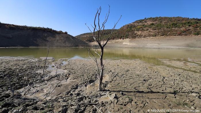 Low rainfall played a role in emptying this key reservoir in northwestern Syria last year