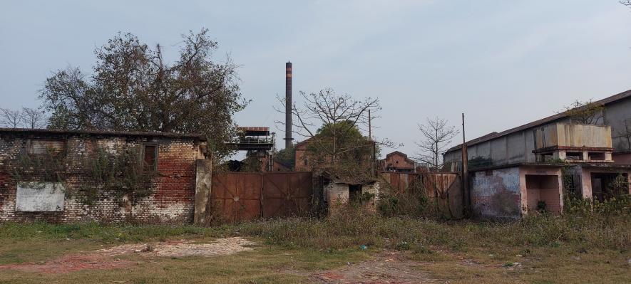 UP Elections: Dead Sugar Mills of Kushinagar Set to Haunt BJP