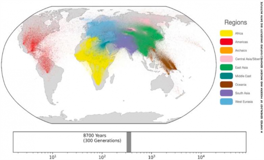 Largest Ever Human Family Tree Constructed, Eases Search for Ancestry and Migration