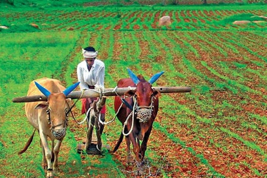 Tamil Nadu State and Agri Budgets ‘Not Satisfying’