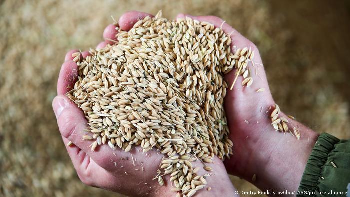 The search for alternative wheat suppliers will be anything but easy for MENA countries