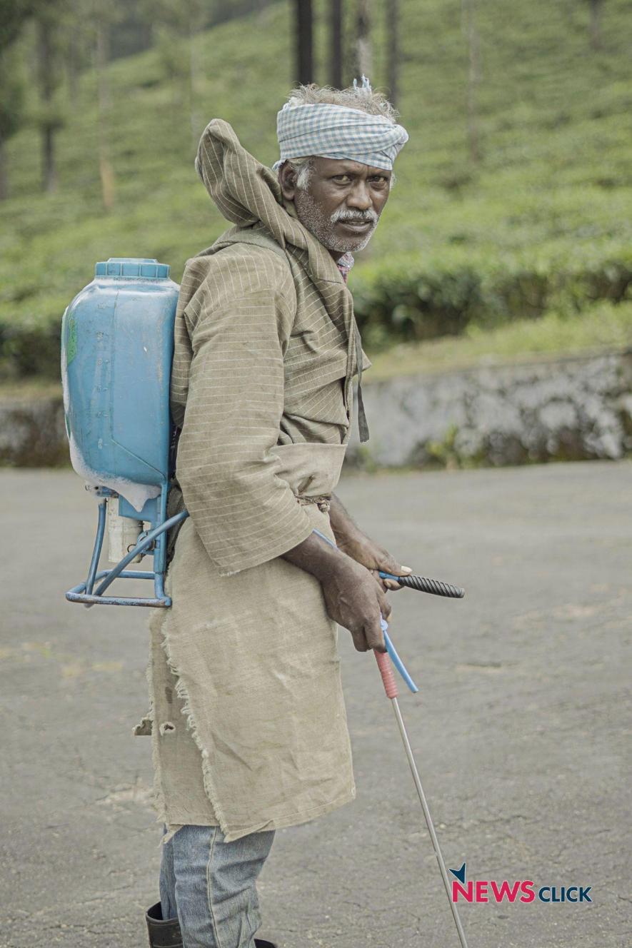 Madasami, a tea plantation worker, heading to spray pesticides.