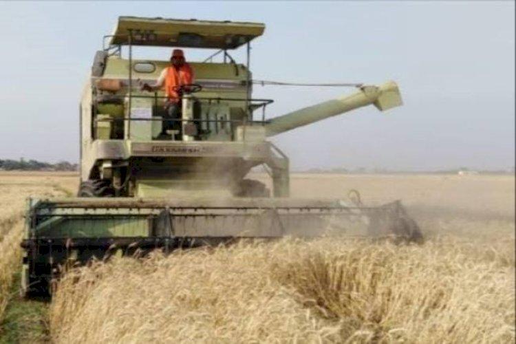 Bihar's Farmers Upset Over Rising Diesel Prices as Cost of Mechanised Harvesting Increased