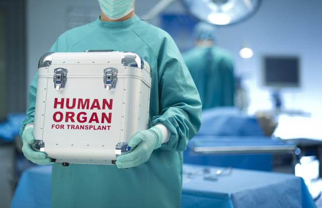 Absence of 'Cadaver Organ Donation' Rules Impedes Crucial Transplants in Chhattisgarh